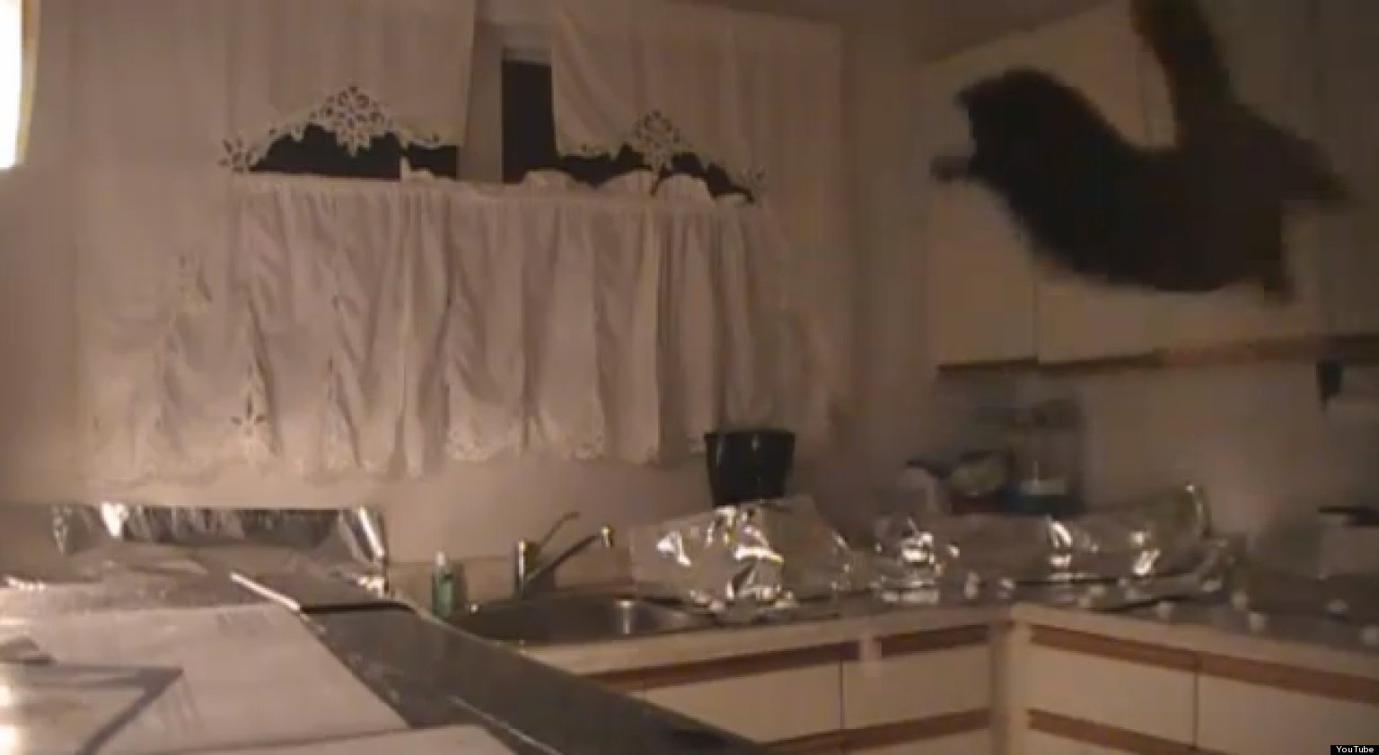 Using foil to protect your kitchen counters from the cat 22 Words