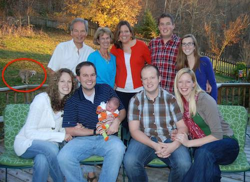 Sick of being ignored, the dog figured out how to get the attention he so desperately wanted