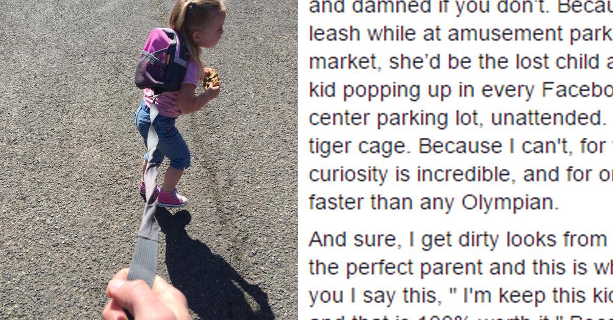 This Dad's Viral Post Totally Busted the Stigma Of Toddler Leashes 22