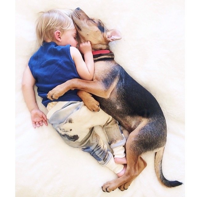Toddler and puppy have been napping together every day for 5 months now