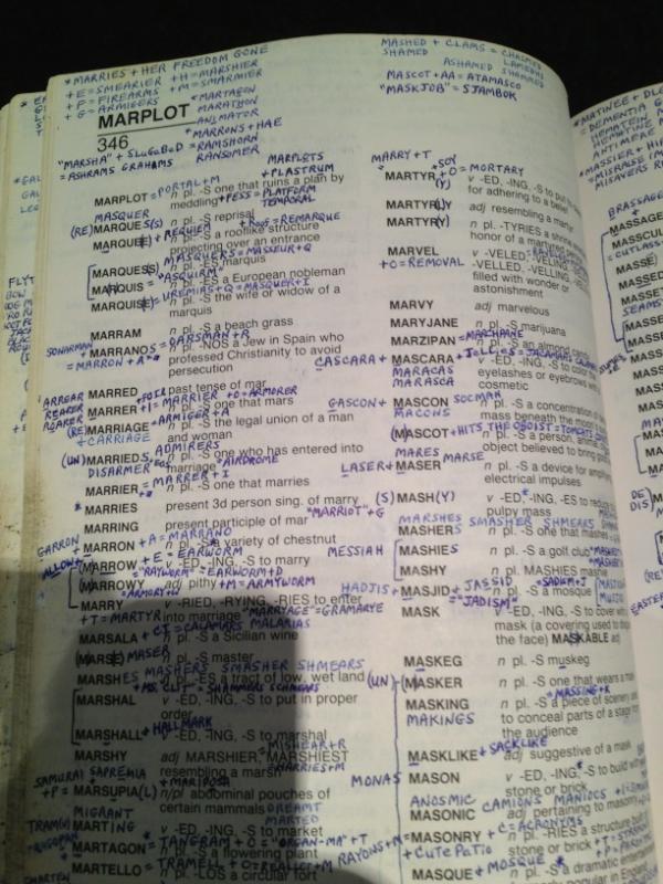 A selfannotated page from a professional Scrabble player's dictionary