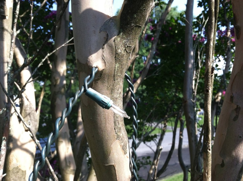 Time to take down the Christmas lights? 22 Words