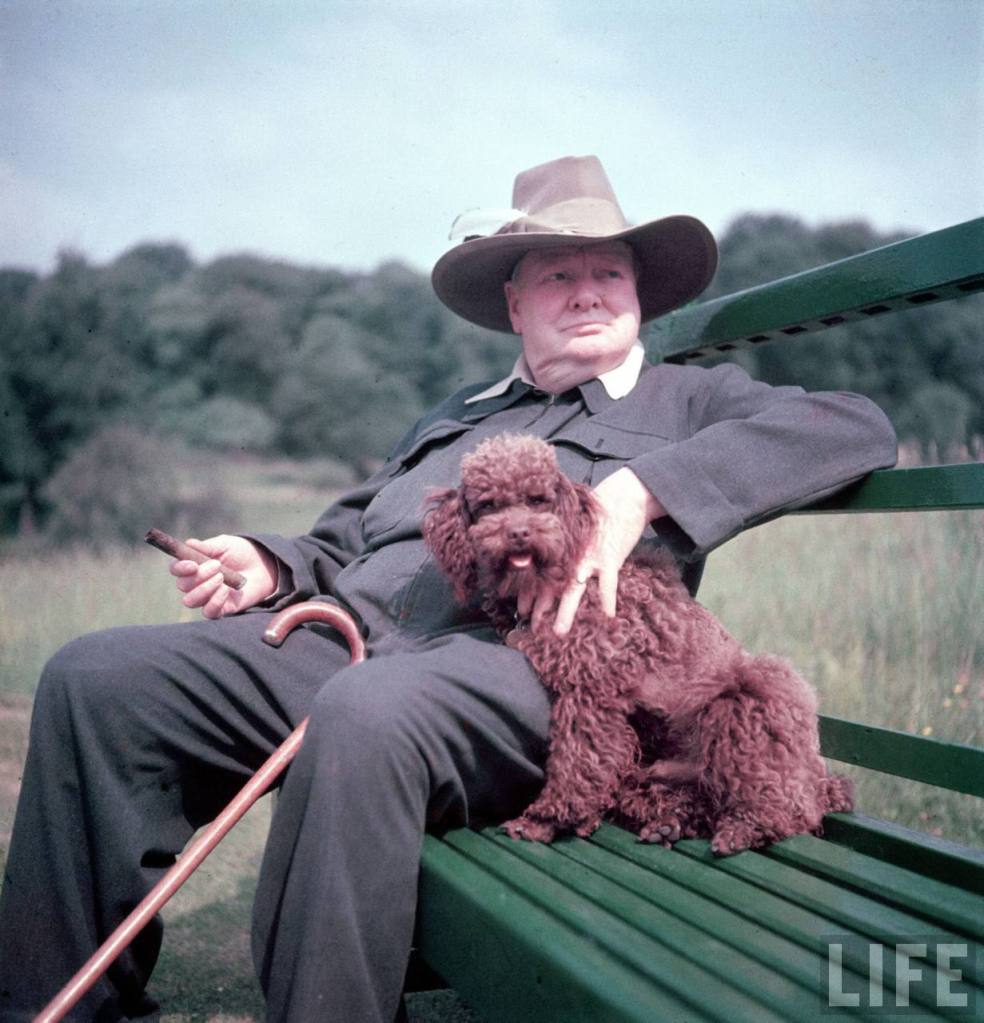 a biography of sir winston churchill a british leader Through his leadership, the british bulldog would face the axis powers and come out victorious, as well as become a public hero for the british people a brief biography of sir winston churchill essay 885 words | 4 pages. a biography of sir winston churchill a british leader Through his leadership, the british bulldog would face the axis powers and come out victorious, as well as become a public hero for the british people a brief biography of sir winston churchill essay 885 words | 4 pages.
