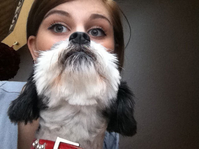 girlwithdogface
