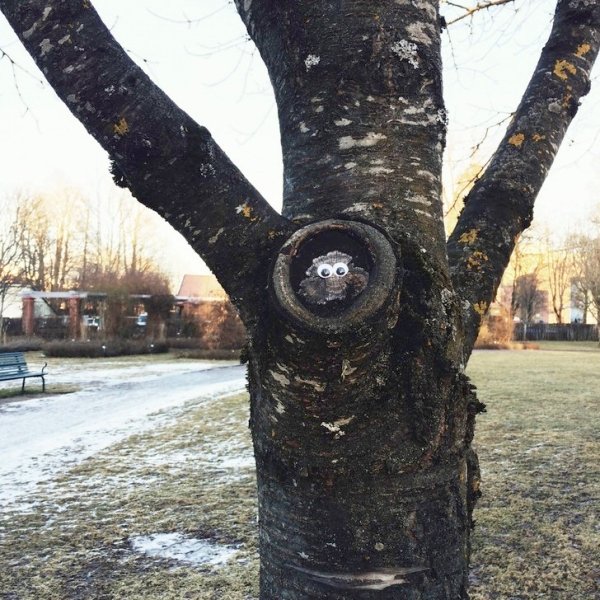 A Heroic Man Is Putting Googly Eyes On Random Objects, Creating the