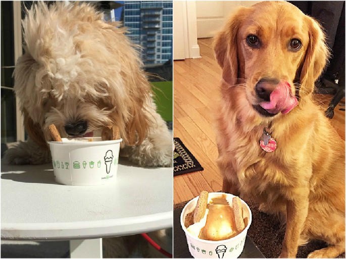15 Popular Restaurants with “Secret” Menu Items for Your Dog 22 Words