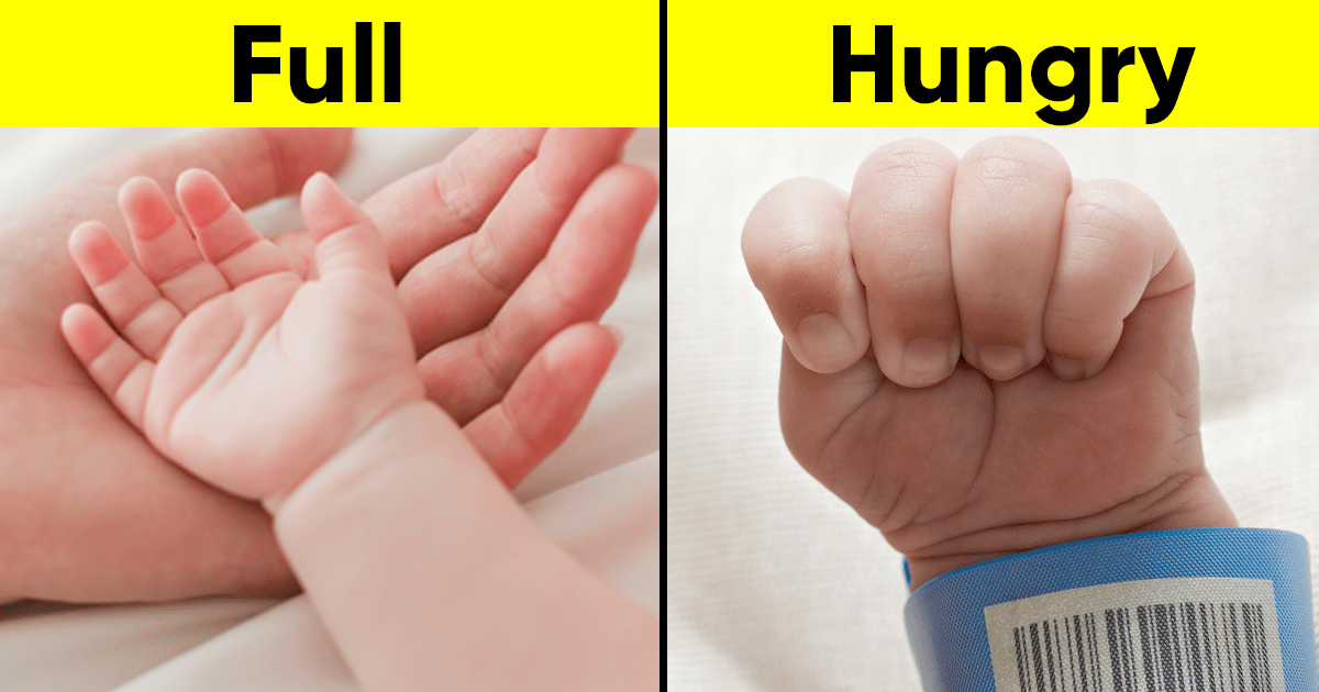 18 Signs That Can Help You Understand Your Baby Better 22 Words