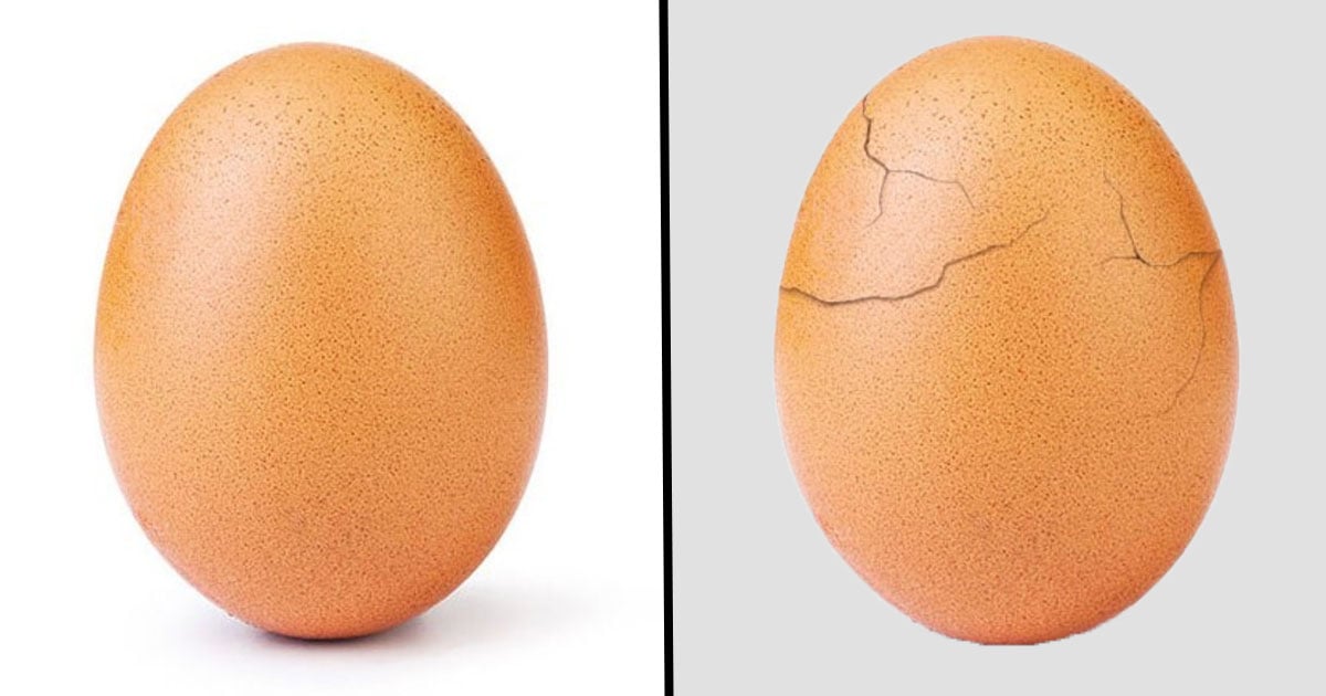 The World Record Egg Has Cracked To Reveal Incredible Message 22 Words