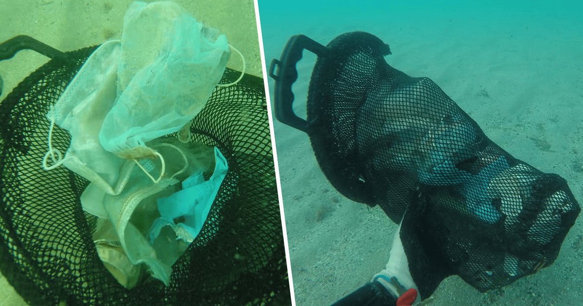 Disposable Masks Are Now Littering The World’s Oceans 22 Words