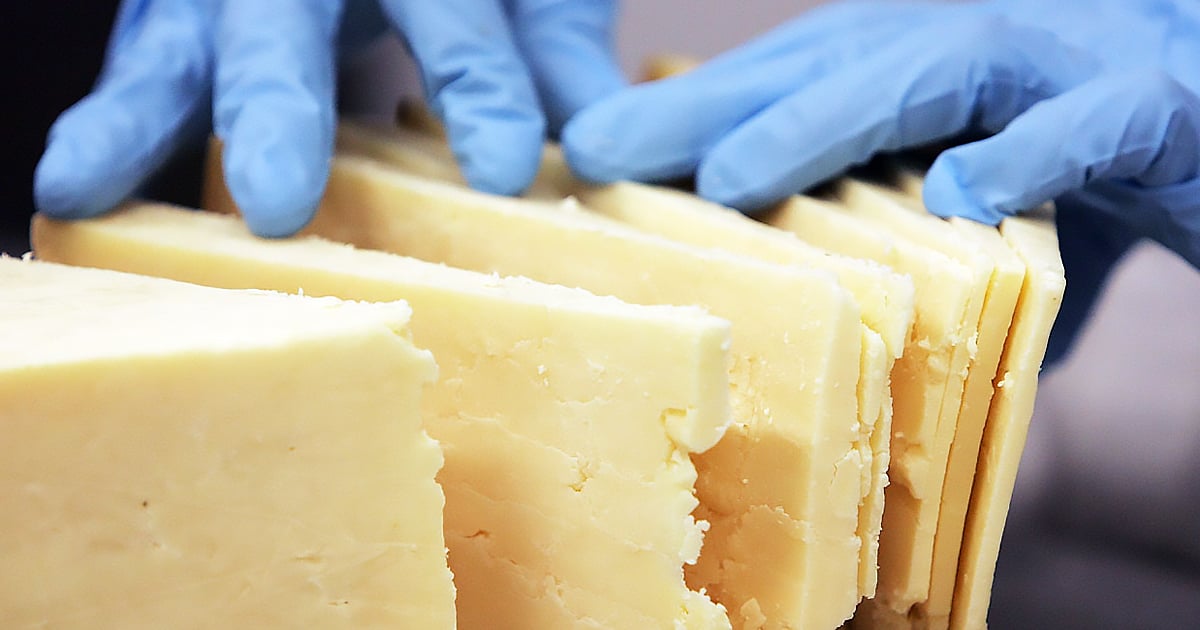 Museum Displays 'Human Cheese' From Celebrity Skin Bacteria 22W