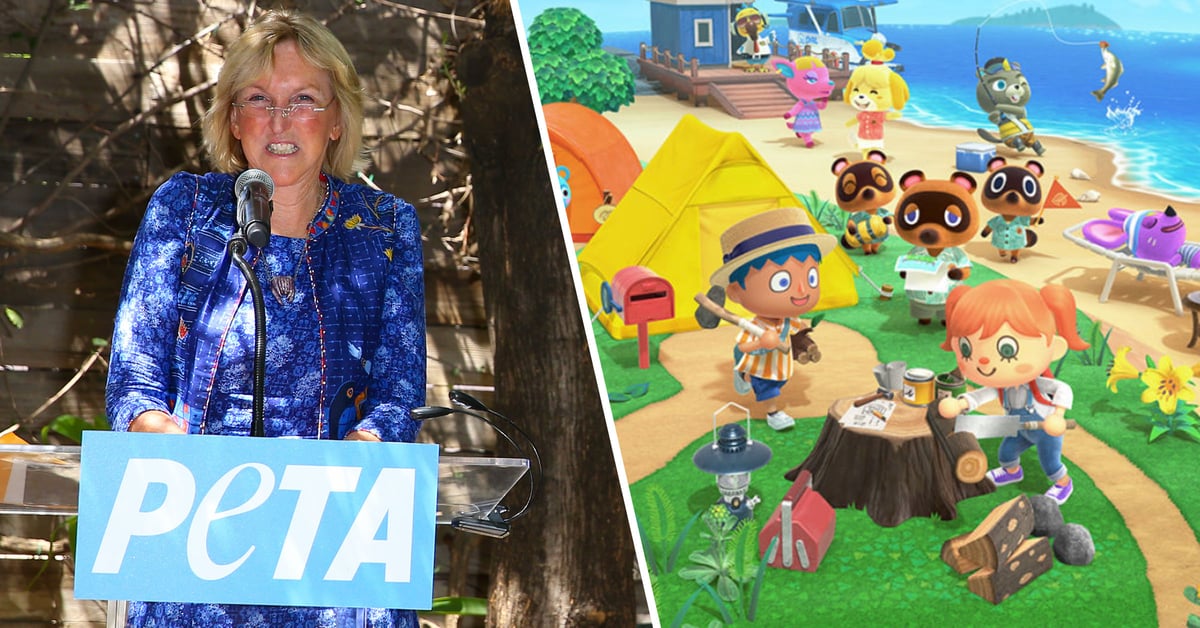 PETA Warn Vegan Players They Shouldn’t Fish, Clam, or Sell Bugs While Playing ‘Animal Crossing’