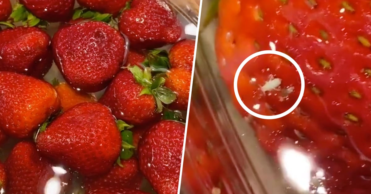 People Are Washing Their Strawberries in Salt Water and Finding Bugs