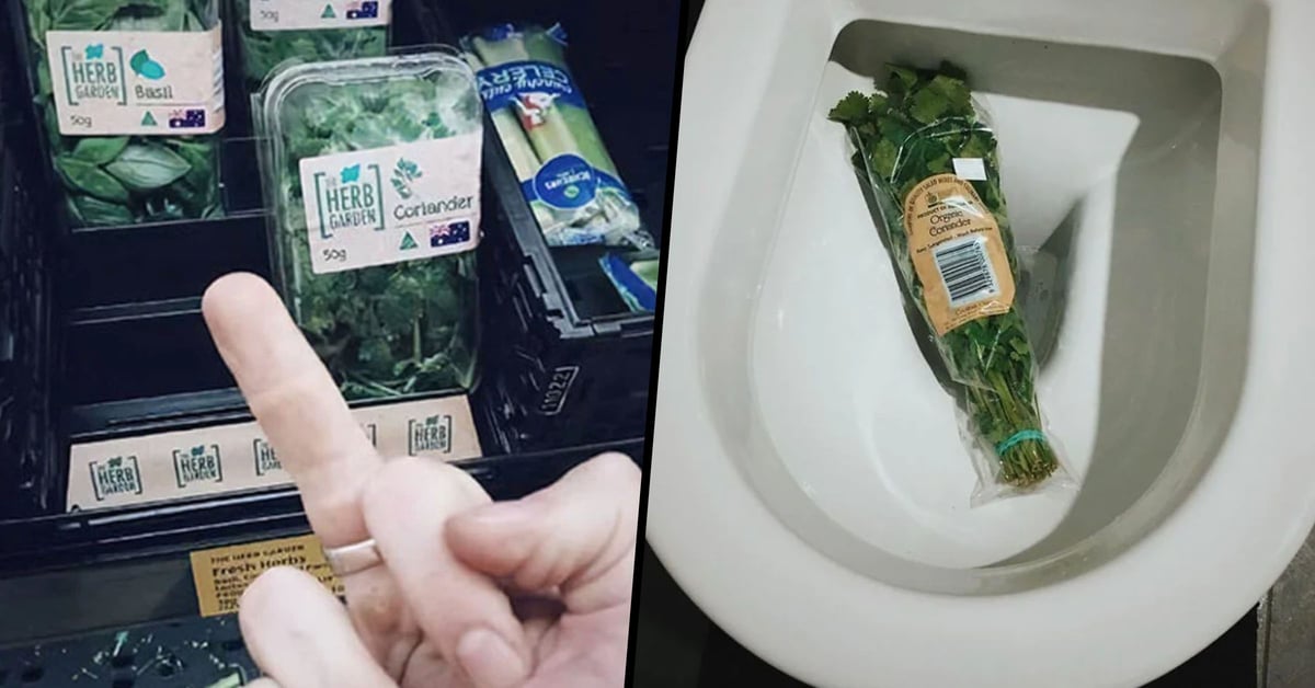 Today Is International ‘I Hate Cilantro’ Day