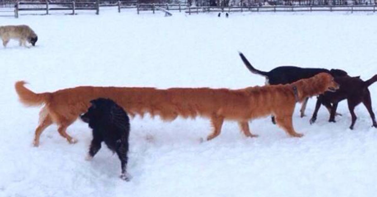 17 Panoramic Picture Fails That Are the Perfect Mix of Funny and Weird