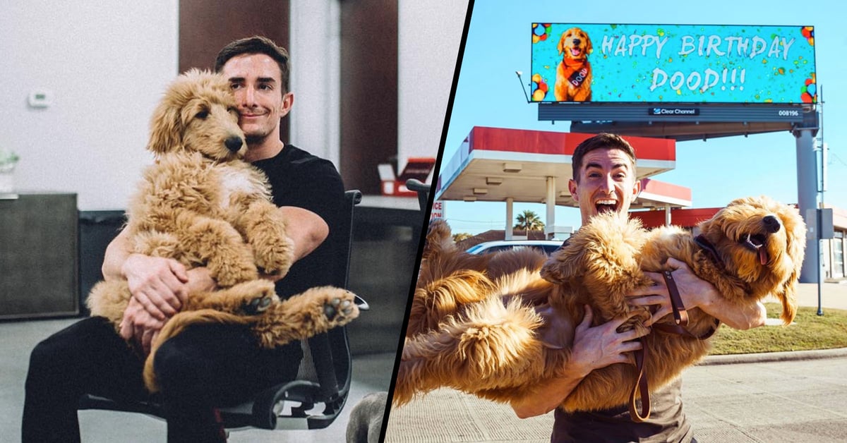 Man Rents Billboard so Everyone Will Know It’s His Dog’s Birthday