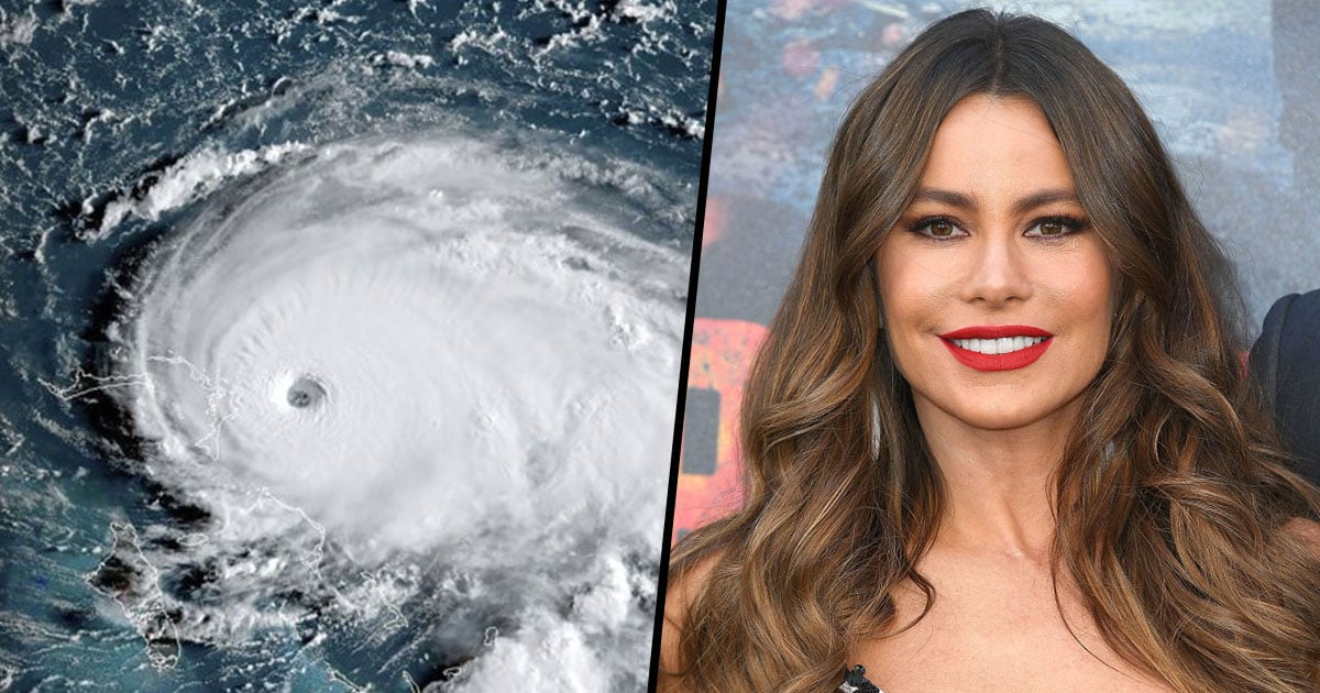 Sofia Vergara Criticized for Fleeing Hurricane Dorian in Private Jet 22W