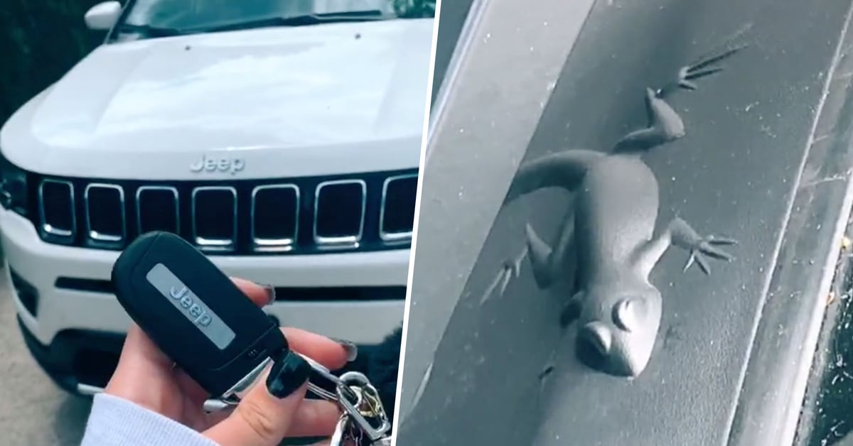 Jeeps All Have 'Easter Eggs' Hidden Somewhere on the Vehicle 22W