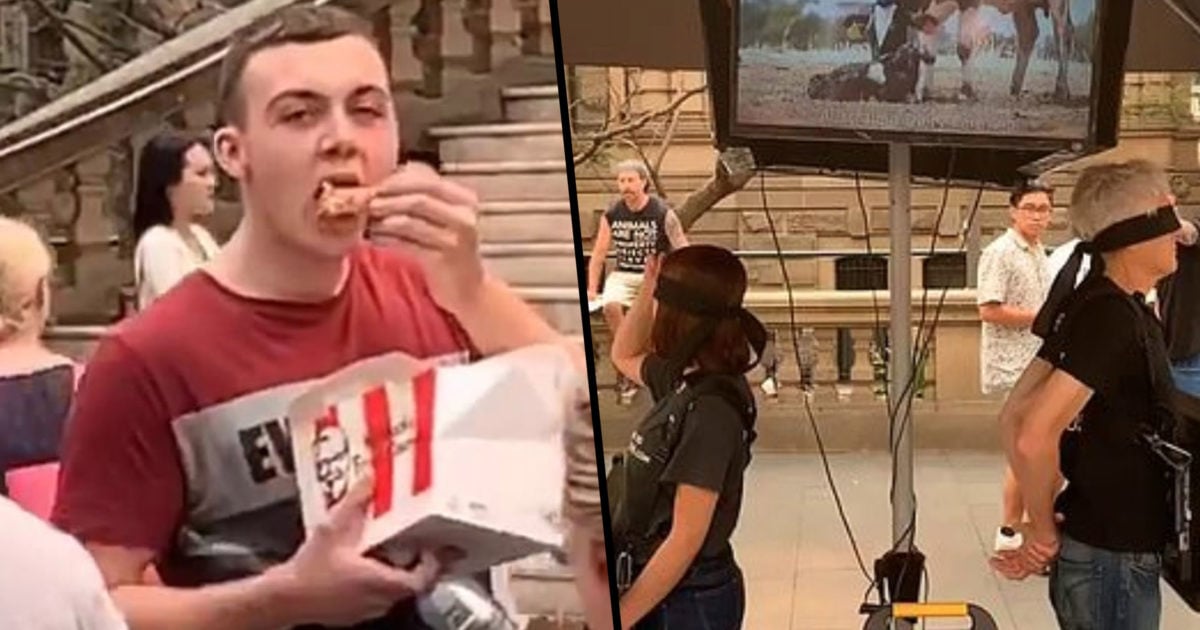 Guy Feasts on KFC in Middle of Vegan Protest