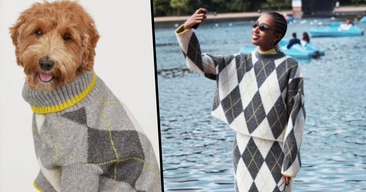 You Can Now Get Adorable Matching Dog and Human Sweaters