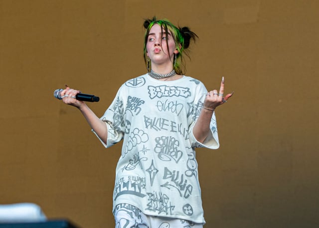Billie Eilish's Nike Shoes Are 2020's Version of 'The Dress' | 22 Words