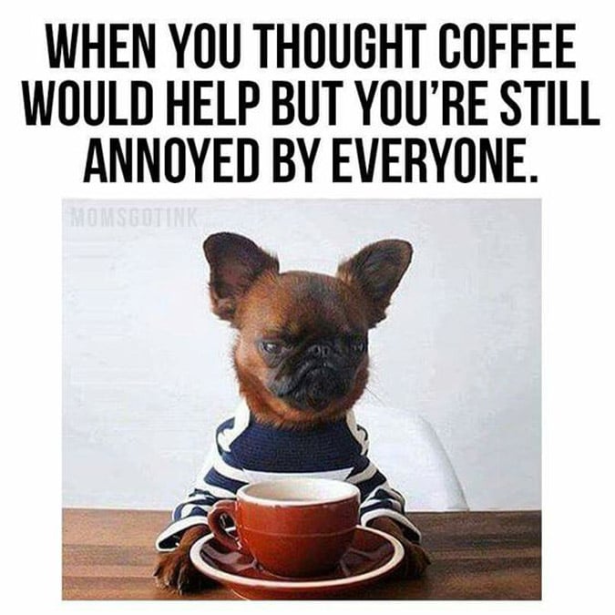 Coffee Memes for Moms