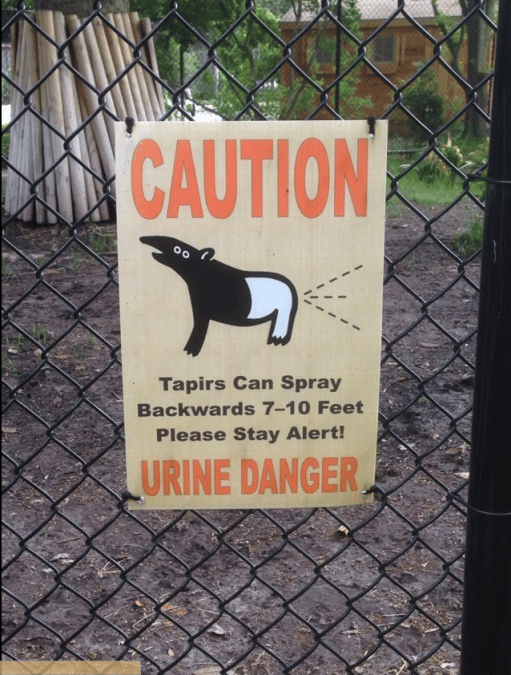 20 Absurd Signs That Are Secretly Brilliant 22 Words