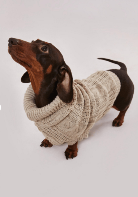 You Can Now Buy Matching Turtlenecks for You and Your Dog