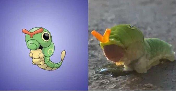 Wallpaper See The Real Animals That Inspired 17 Pokemon Characters 22 Words Desktop Wallpaper