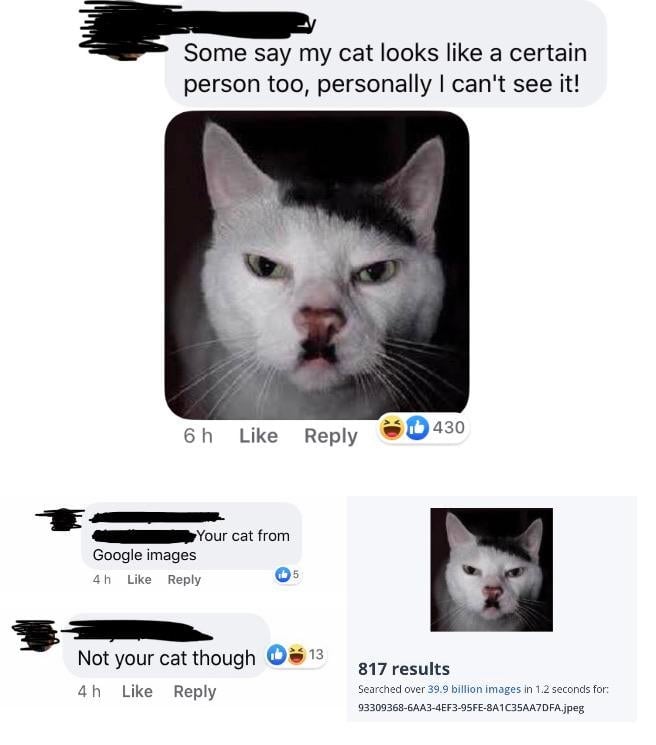 29 People Who Got Caught Lying on the 22 Words