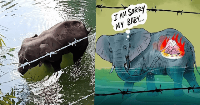 Artists Pay Tribute To Elephant That Died After Being Fed Firecrackers