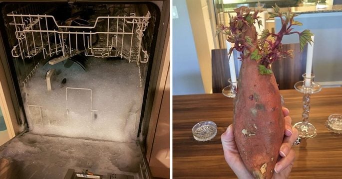 Wife Fails That Are As Adorable As They Are Hilarious | 22 Words