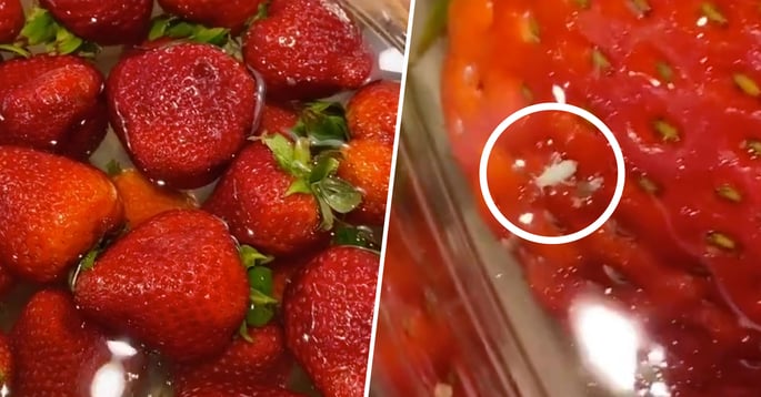 People Are Washing Their Strawberries in Salt Water and Finding Bugs