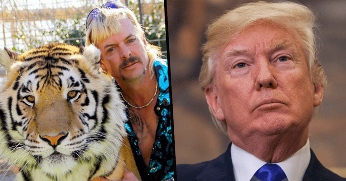 Animal News - Page 24 of 127 | 22 Words