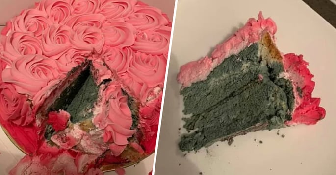 Mom Cuts Birthday Cake To Find It Completely Green With Mold