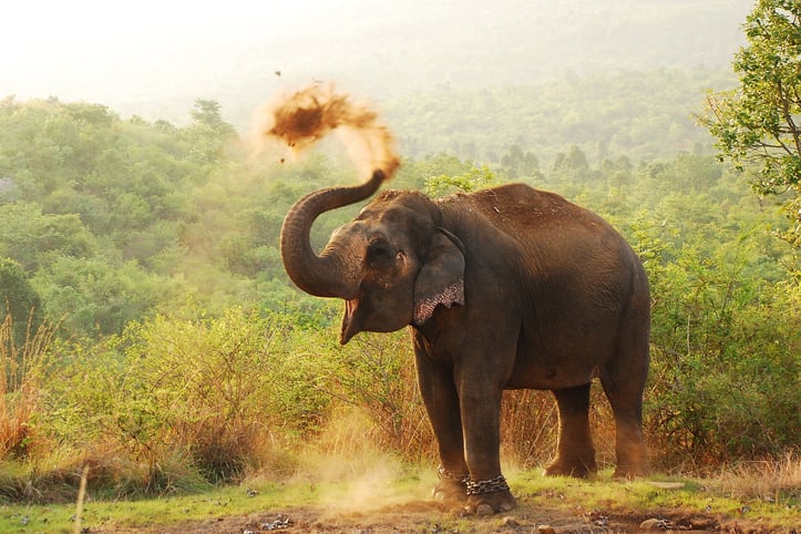 This image has an empty alt attribute; its file name is GettyImages-135796440.jpg
