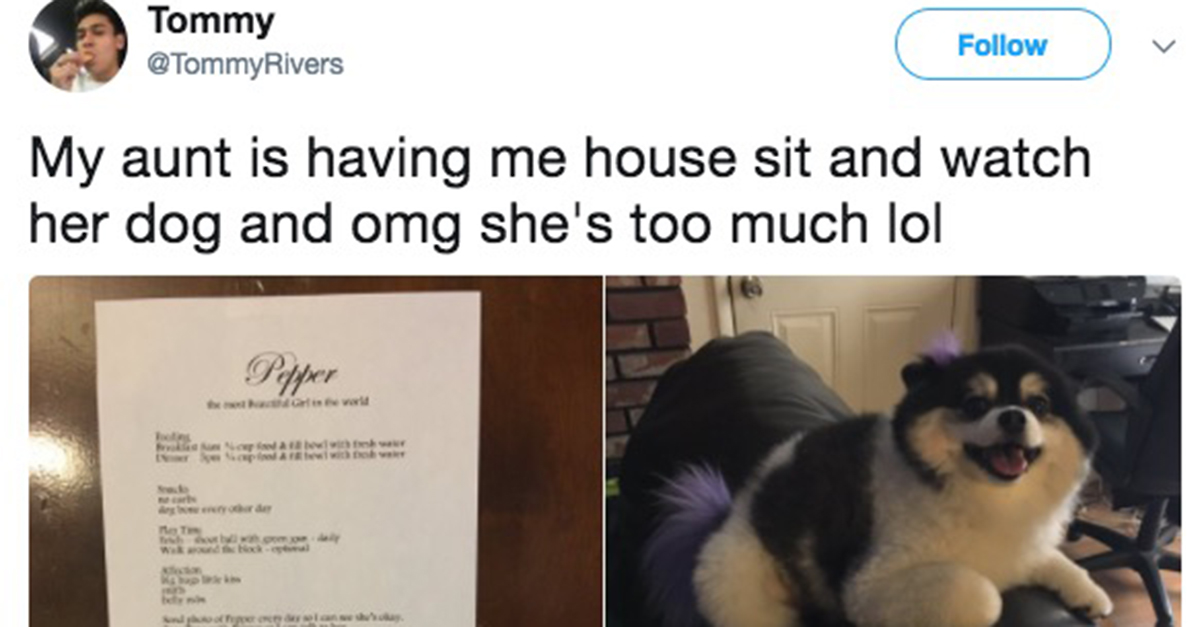 this aunt s hilarious