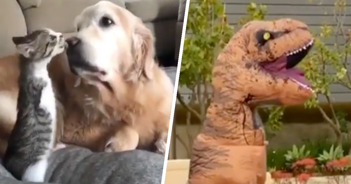 A Whole List of Things That Will Make You Smile | 22 Words