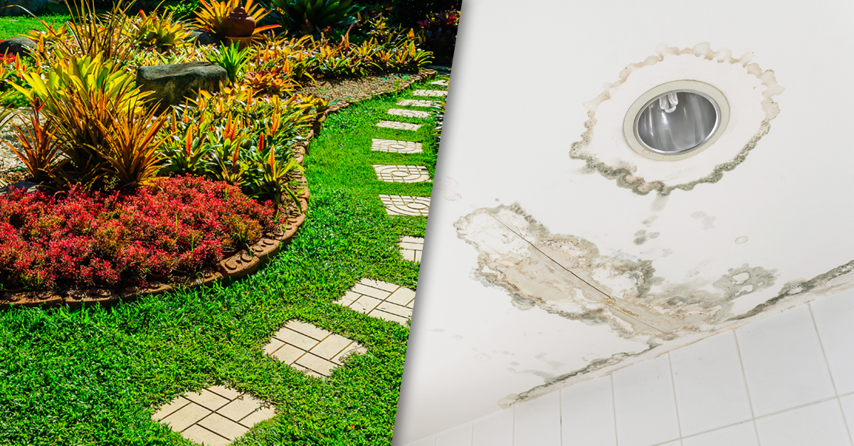 19 Things You Need To Know Before Ing Your First House 22 Words