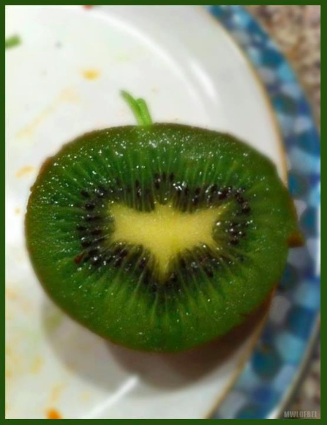 Buah dan sayuran dengan bentuk aneh 