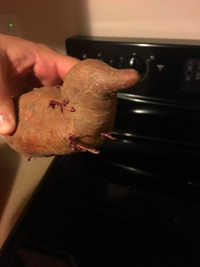 Buah dan sayuran dengan bentuk aneh 