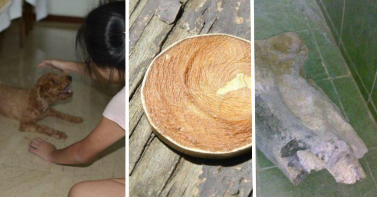 What's the Weirdest Thing You've Ever Accidentally Stumbled On? These