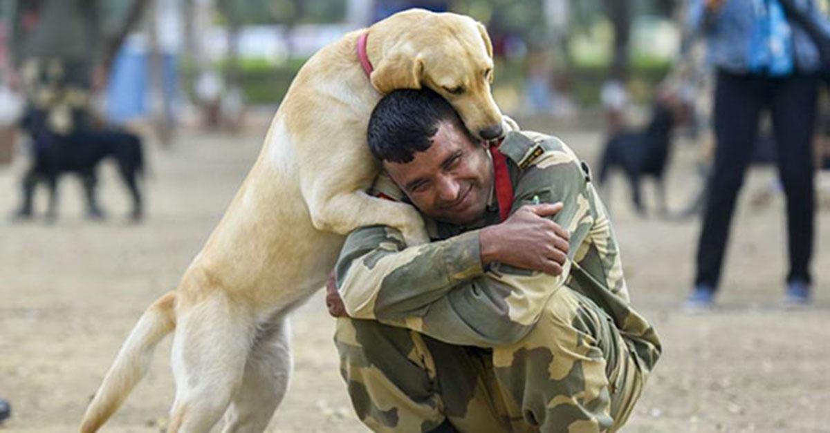 20 photos of military