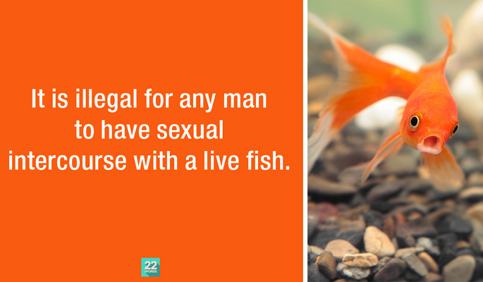 strange ohio sex laws Porn that ish